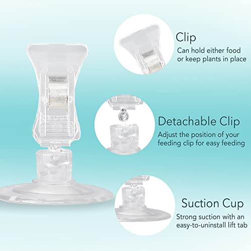 4 Pack Fishes Veggie Kelp Plant Suction Cup Clips for Aquariums, 2” x 1”, Feeding Tool, Aquarium Accessory for Fish Tank, Round Feed Holder Clamp, Automatic Fish Feeder, Includes Plastic Spring