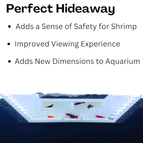 Lucky Critter Shrimp Cave Underground Maze Tunnel | Viewing Shrimp Freshwater Hide Tunnel | Aquarium Shrimp Breeding Cave Perfect for Small Shrimp, Cherry Shrimp, Dwarf Shrimp (White) - color: White