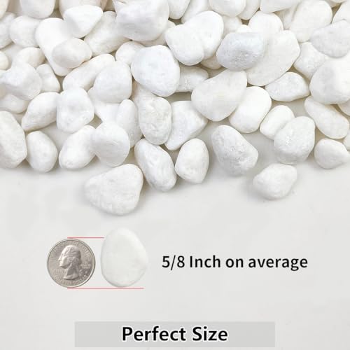YISZM 5lb White River Rocks, 5/8 Inch Natural Pebbles for Indoor Plants, Snow White Decorative Stones, Ideal for Fish Tank, Vases, Crafting, Home Decor and Garden Landscaping Rocks - size: 5 Pounds, style: 5/8 Inch