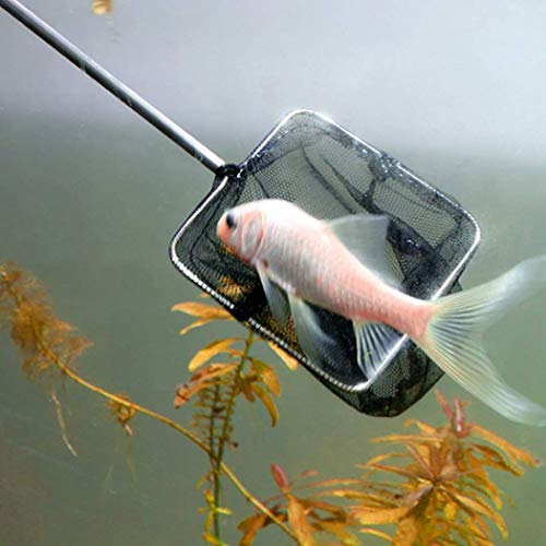 3 Inch Small Aquarium Fish Net with extendable Long Handle for Betta Fish Tank Square - size: Square