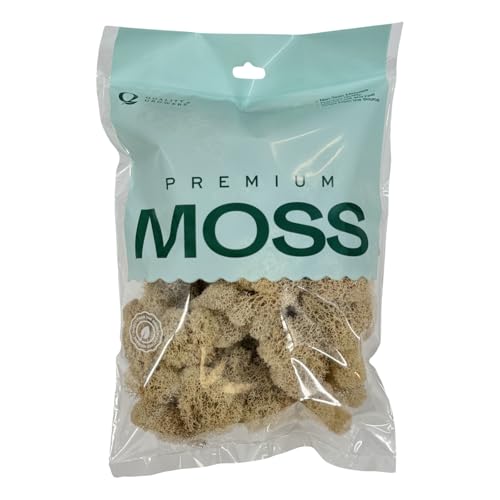 Preserved Reindeer Moss - Moss for Crafts, Home Decor, Art, Design & DIY Projects - Non-Toxic - USA Made (Natural, Small) - color: Natural, size: Small