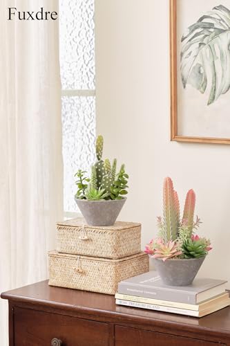 2-Pack Artificial Succulent Plants in Vintage Plastic Pots - Waterproof Fake Plants Decor for Home Office Desk - Low Maintenance Indoor Greenery for Bathroom, Shelf & Table - color: Succulent-b-2pcs