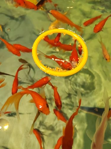 Betta Fish Enrichment Toys Ring and Mirror Floating Exercise Mirrors and Training Ring Floating Mirrors Aquarium with Feeding Rings Aquarium Accessories with Suction-Cup (Yellow) - color: Blue