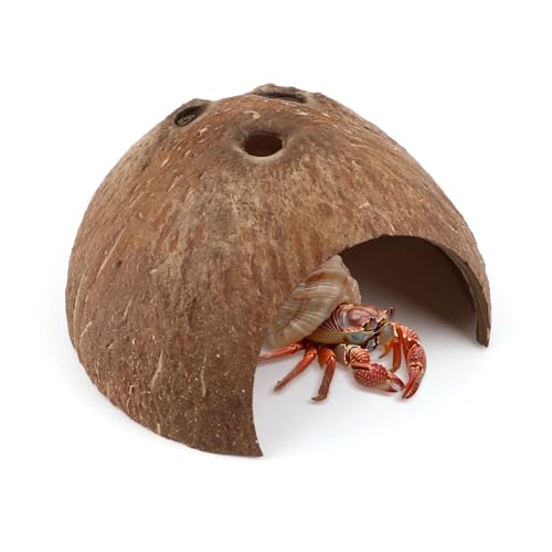 Hypeety Natural Coconut Reptile Habitat Hideout for Reptile, Lizard, Spider, Snake, Aquarium, Fish Hide Cave Hermit Crabs, Hamsters Natural Coco Hut Organic Non-Toxic Aquarium Decoration