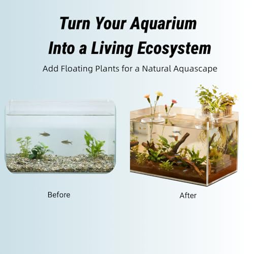 10 Pcs Creative Floating Floral Arrangement Holder,2pcs Aquarium Plant Holder 2025 Innovative Floating Flower Display Stand Clear Acrylic Floating Flower Bowl Stem Holder for Fish Tanks Table Hom Decor