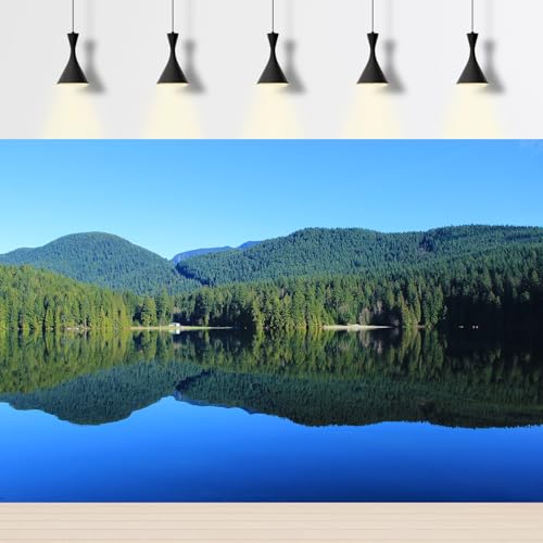 Lake Aquarium Background Tranquil Forest Mountain Reptile Tank Backgrounds Blue Sky Spectacular Natural Lake Fish Tank Background Rainforest Mountains Reptile Enclosure Backgrounds Decors 24x12in - color: Blue_Green, size: 24(W)x12(H)inches/ 60(W)*30cm(H)