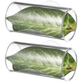 POPETPOP 2Pcs Betta Fish Acrylic Tube Tunnel : Suction Cup Aquarium Cave with Leaf Pad Cylindrical Aquarium Hideout for Breeding Resting, 3.14X1.57X1.57in