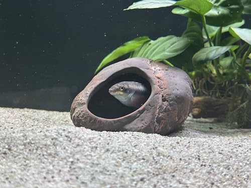 Cichlid Stone Decoration - Aquarium cave for Cichlids, Betta, Small Fish - Fish Tank Hideway Decor - Betta Toys Hideout Stones House (Magma Stone Small)