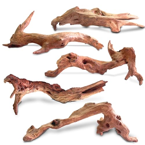 Natural Wood Driftwood for Aquarium Fish Tank Decor,Assorted Driftwood Trunk Branch for Reptile Tank Decor (MOP-ZYM Driftwood Branch (8 to12 Inch)-Pack of 5) - color: MOP-ZYM Driftwood Branch (8 to12 Inch)-Pack of 5