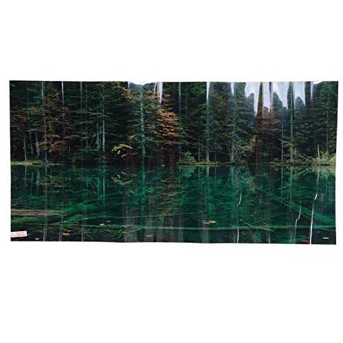 Fish Tank Background Decoration, 3D PVC Self Adhesive Wallpaper Sticker with Lake Reflection Pattern, Aquarium Background for Freshwater and Saltwater Tanks (61 * 30CM) - size: 61*30CM