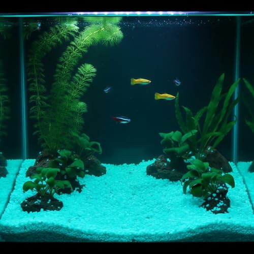 Shiny Stone Glow in The Dark Aquarium Neon Gravel Sand, Decorative Rocks for Fish Tank and Fairy Garden, Home Dec,305g/0.67lbs (3-5mm, Aqua) - color: Aqua, size: 3-5mm
