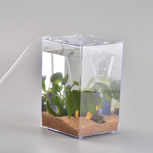 Ipetboom Small Acrylic Fish Tank 7.5 Inch Mini Desktop Aquarium Fish Box for Betta Home Office Decor