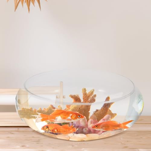 DOITOOL Clear Glass Fish Bowl 9.84 Inch Desktop Aquarium Small Fish Tank Planter for Goldfish Hydroponic Plants Home Office Wedding Decor - size: 25.00X25.00X10.00CM