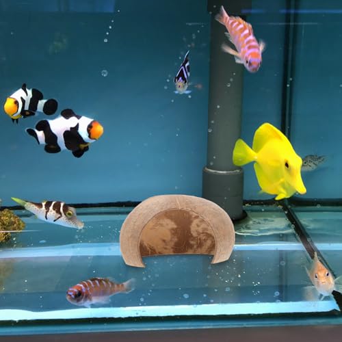GALPADA 2pcs Coconut Shell Fish Hideout Aquarium Decoration Reptile Cave Ornament Large Size for Breeding Hiding Habitat Suitable for Shrimp Turtle Hermit Crab