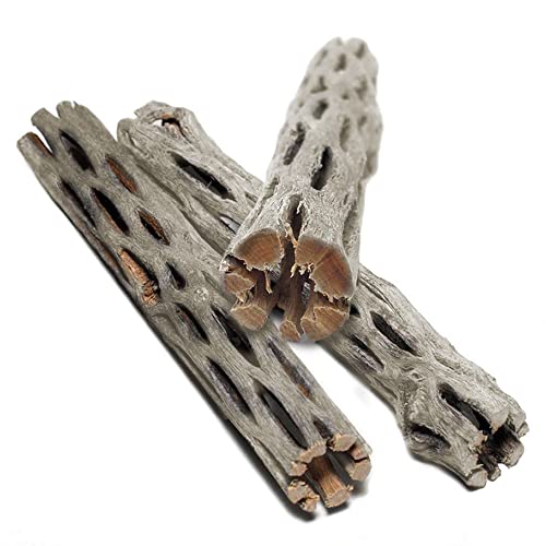 SunGrow Cholla Wood, 6” Climbing Logs, Chew Toy, Aquarium Fish, Snail, and Shrimp Driftwood, Tropical Freshwater Fish Décor, Adds Raw Beauty, 3 Pack