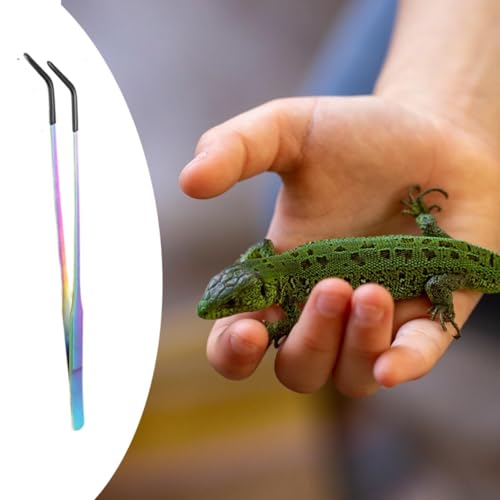 Baoblaze Reptile Feeding Tongs with Black Silicone Tip Long Planting Tweezers for Aquarium for Gecko Bearded Dragon Tank Aquascaping, Curved - color: Curved