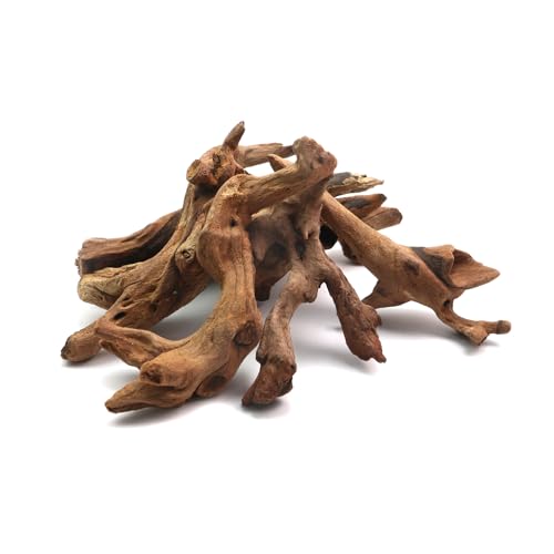 5Pcs Real Natural Driftwood for Aquarium, Aquarium Decor Wood Freshwater Fish Tank Reptile Driftwood Branch Length 3.93" to 5.9" - color: Natural Driftwood