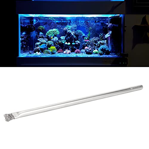 PENO Wire Bristles Brush, Professional Aquarium Brush 304 Stainless Steel for Fish Tank for Wood Hard 23cm/9.1in