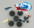 Awesome Industries Betta & Shrimp Tourmaline Mineral Balls Aquarium Water Conditioner Over 30 Elements Improves Water Quality, pH Balance, Health, Color & Breeding (10 Pack Combo) - size: 10 Pack Combo