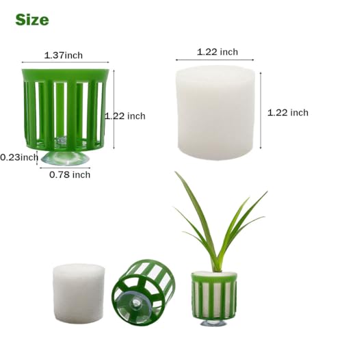 24 Set Anti-Floating Aquarium Plant Rings, Aquatic Plants Fixed Rings with Suction, Aquarium Landscape Plastic Plant Fixing Aquarium Plant Weights Pot Fish Tank Accessories