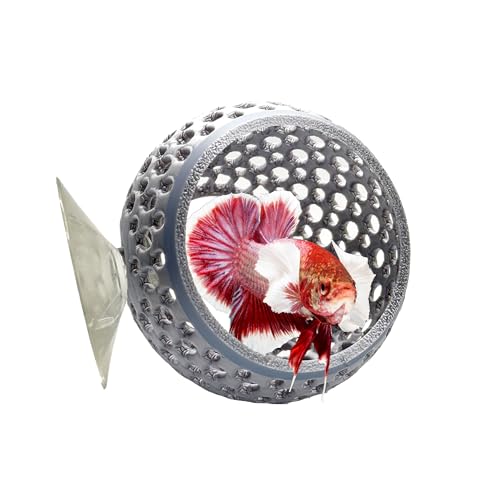 CTWPets Natural Betta Bulb Hide | Betta Rest Fish Tank Ornament | Aquarium Cave with Suction Cup for Small Fish Tank, Betta Habitat, Shrimp Hideout, Aquatic Decor (Silver) - color: Silver