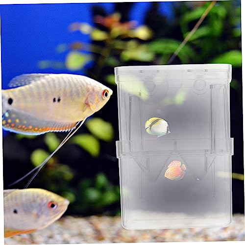 TOYANDONA 4Pcs Fish Breeding Box Aquarium Isolation Container for Safe Hatching and Acclimation Easy Clean Compact with Suction Cups for Betta Guppy and Shrimp