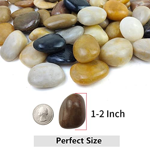YISZM 2lbs Pebbles for Indoor Plants, 1-2 Inch Mixed Color High Polished River Rocks Outdoor Decorative Stones Vase Filler Fish Tank Aquariums Landscaping Garden Outdoor and Indoor DIY - color: Mixed Color, size: 2 Pounds