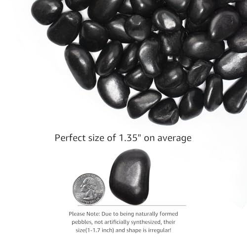 10 lbs Black River Rocks - Large Polished Black Pebbles for Plants & Garden Decorative Stones，1-2" Polished Pebbles for Landscaping, Fish Tanks, Flower Pots, Water Fountains