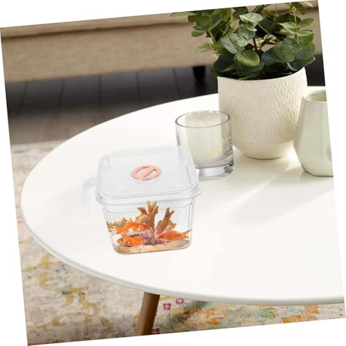 HANABASS Small Transparent Fish Bowl Lid and Handle Square Aquarium for Decor for and Betta Fish