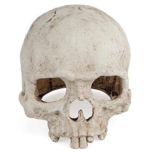 Uniclife Aquarium Skull Reptile House Decor Resin Head Skeleton Ornament for Tank Landscape Decorative Hideout Cave Shelter for Small Fish Shrimp Snail Gecko Spider Lizard in 5-20 Gallon Fish Tank - color: Skull Reptile House