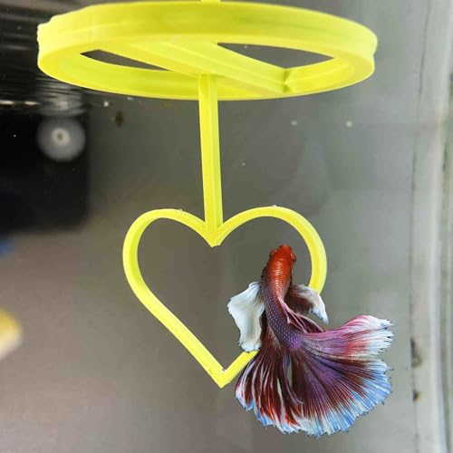 Floating Heart Betta Training Ring, Heart Active Betta Training Ring, Floating Feeder, Enrichment Toys for Aquarium Decor, Pink, 3.8in x 3.7in (Lime, Pack of 2) - color: Lime, size: Pack of 2