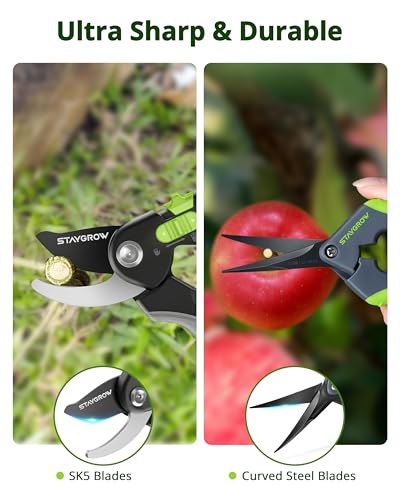 Gardening Scissors, Sharp Plant Trimming Scissors for Precise Cuts, Stainless Steel Pruning Shears Bonsai Clippers, 8.5" Bypass Garden Clippers and 6.5" Curved Garden Shears 2 Pack - style: 6.5" Curved & 8.5" Bypass