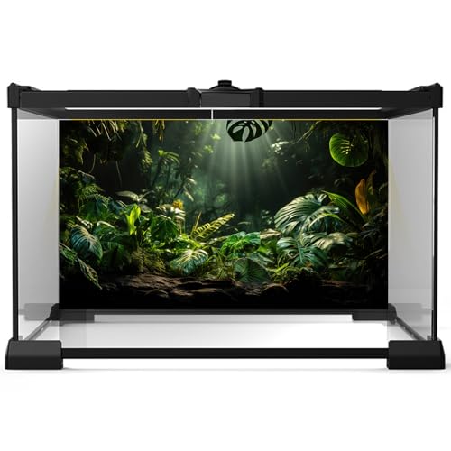 Tropical Leaf Aquarium Background Green Palm Leaves Fish Tank Background Nature View Sunrays Jungle Leaf Reptile Tank Backgrounds Misty Rainforest Plants Reptile Enclosure Backgrounds 24x12in - color: Black_Green, size: 24(W)x12(H)inches/ 60(W)*30cm(H)