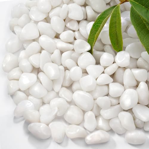 2.2 lb Natural Polished White Pebbles, 1/2 Inch Decorative White Rocks for Potted Plants Pot Filling Aquariums Outdoor Street Scape Decorative Rocks