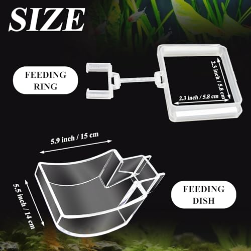 Shrimp Feeder Tube and Dish Set - Aquarium Fish Feeder with Feeding Ring and Cleaning Brush - Prevent Food Scattering