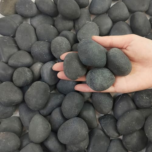FANTIAN 5 lbs Black Pebbles for Indoor Plants, 1-2 Inch Stones Natural Decorative Black River Rocks for Planters, Painting, Aquarium, Outdoor Garden Landscaping, Walkways and Yards - color: Black, size: 5 lbs, 1-2 Inch