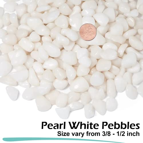 GASPRO 10 lbs White Pebbles for Plants, Vases, and Landscaping in Garden - Highly Polished 3/8" Small Rocks for Indoor and Outdoor Decor (Pack of 2) - size: 10lb (Pack of 2)