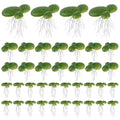 Framendino, 72 Pack Artificial Floating Duckweed Plant Plastic Fake Simulation Plants (3 Size) - size: 72 Pack