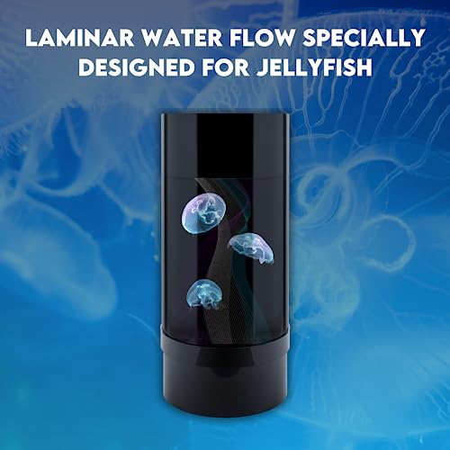 Jellyfish Art Jelly Cylinder 5 (Aquarium only kit) - Beginner Aquarium for Live Jellyfish (Black)