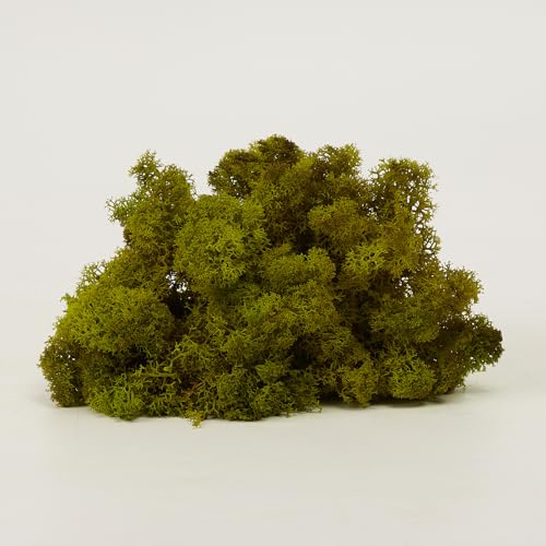Preserved Reindeer Moss Natural Green DIY Kit Gardenning Art Wall Decor Florist Decor Easter Table Decor Wedding - color: Green-08, size: 0.85 lb