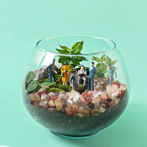 Halatool 2.2LB Crystal Pebbles 0.27"- 0.79" Natural Landscaping Pebbles Aquarium Gravel Decorative Polished Stone Suitable for Plants Home Decoration DIY Handmade Fish Tanks Vase Filler - size: 2.2 LB, style: Crystal Pebbles