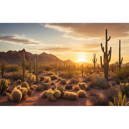 Sunset Desert Reptile Habitat Background Silhouette of Saguaro Cactus Arid Mountain Range Terrarium Background Cacti Sand with Dunes Aquarium Background Desert Mountain Fish Tank Background 24x12in - color: Cactus Orange, size: 24(W)x12(H)in