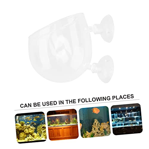 BESPORTBLE Glass Aquatic Plant Cup Pot Cups for Fish Tank Water Plant Holder Permeable Base for Shrimp and Planted Tanks Aquarium Decoration