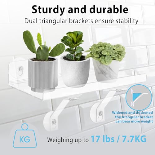 2 Pack 15 Inch Acrylic Window Boxes Plant Shelves, 6 Inch Extra-Wide Windowsill Extender – Features Suction Cups and Support Brackets for Succulents, Herbs, Seed Starting | Indoor/Outdoor Use - size: 15IN-2PC
