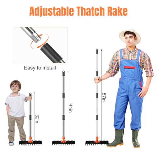 57-Inch Thatch Rake - Professional Dethatcher & Soil Aerator with 15" Steel Tines, Detachable Handle for Lawn Thatching and Compacted Soil Removal