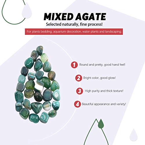 Hilitchi Green Agate Stone Tumbled Stones for Plants Cacti & Succulents Bedding, Vase Filler, Landscape Bottom Decoration (About 1lb(455g)/Bag) - color: Green Agate, size: 17-25mm (0.67"- 0.98")