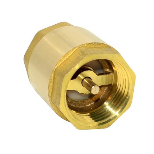 DAN SPEED Brass Check Valve,Female Thread Spring Check Valve,One Way Horizontal Check Valves for Backflow Prevention,Well, Pump, Tank ((DN25) 1'')