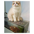 Fish Tank Lid 32x14 36x18in, Clear Acrylic Aquarium Cover, Cuttable Anti Jump Fish Tank Cover, Adapted to Various Sizes(16x16in/40.64x40.64cm) - size: 16x16in/40.64x40.64cm