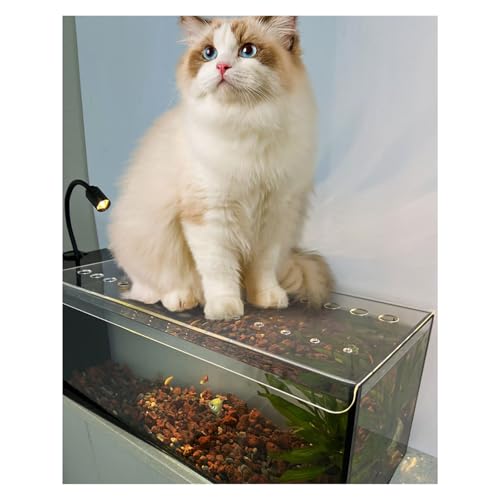 Fish Tank Lid 32x14 36x18in, Clear Acrylic Aquarium Cover, Cuttable Anti Jump Fish Tank Cover, Adapted to Various Sizes(16x8in/40.64x20.32cm) - size: 16x8in/40.64x20.32cm