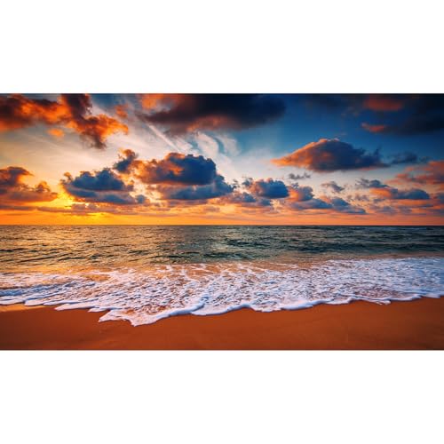 Sunset Seashore Aquarium Background Cloudscape Over The Sea Fish Tank Background Sunrise Seacoast Beach Reptile Tank Backgrounds Sea Waves Ocean Beach Tropical Island Reptile Tank Backgrounds 24x16in - color: Dark Orange, size: 24(W)x16(H)inches/ 60(W)*40